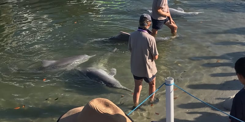 Photo by Brayden Tarj n Aylah Wilson