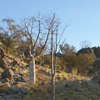 Photo by CATHERINE H.