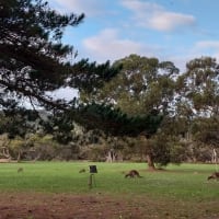 Photo by Colin van den Hoff