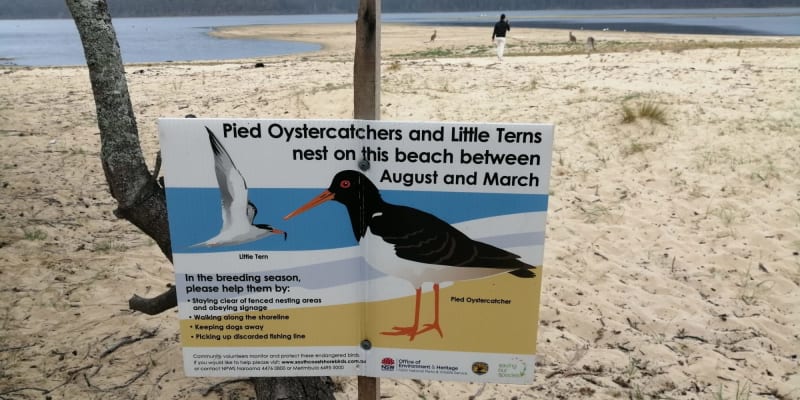 Photo by Ahmad Musa Ababneh