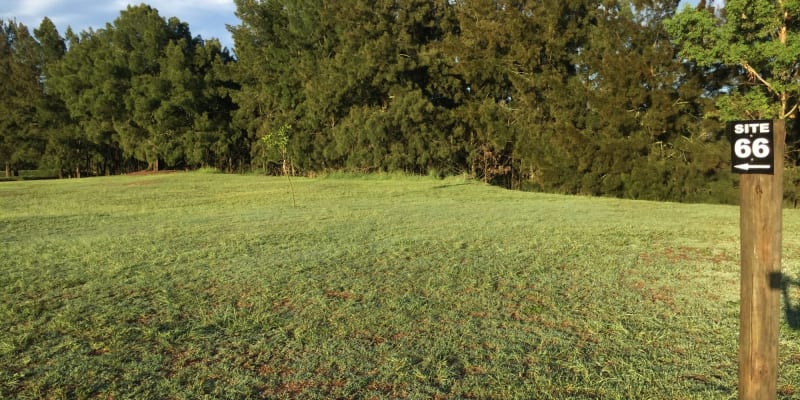 Photo by Percy’s P.