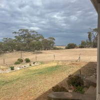 Photo by AnnMaree M.