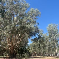 Photo by Nikolaas d.