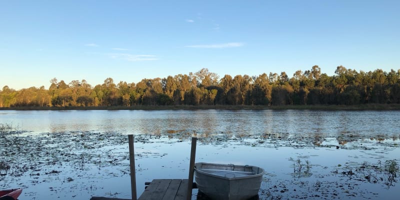 Photo of Bushy Brown Woodford Waterski Park