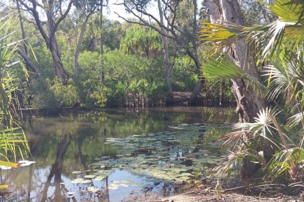 Photo by Colin van den Hoff