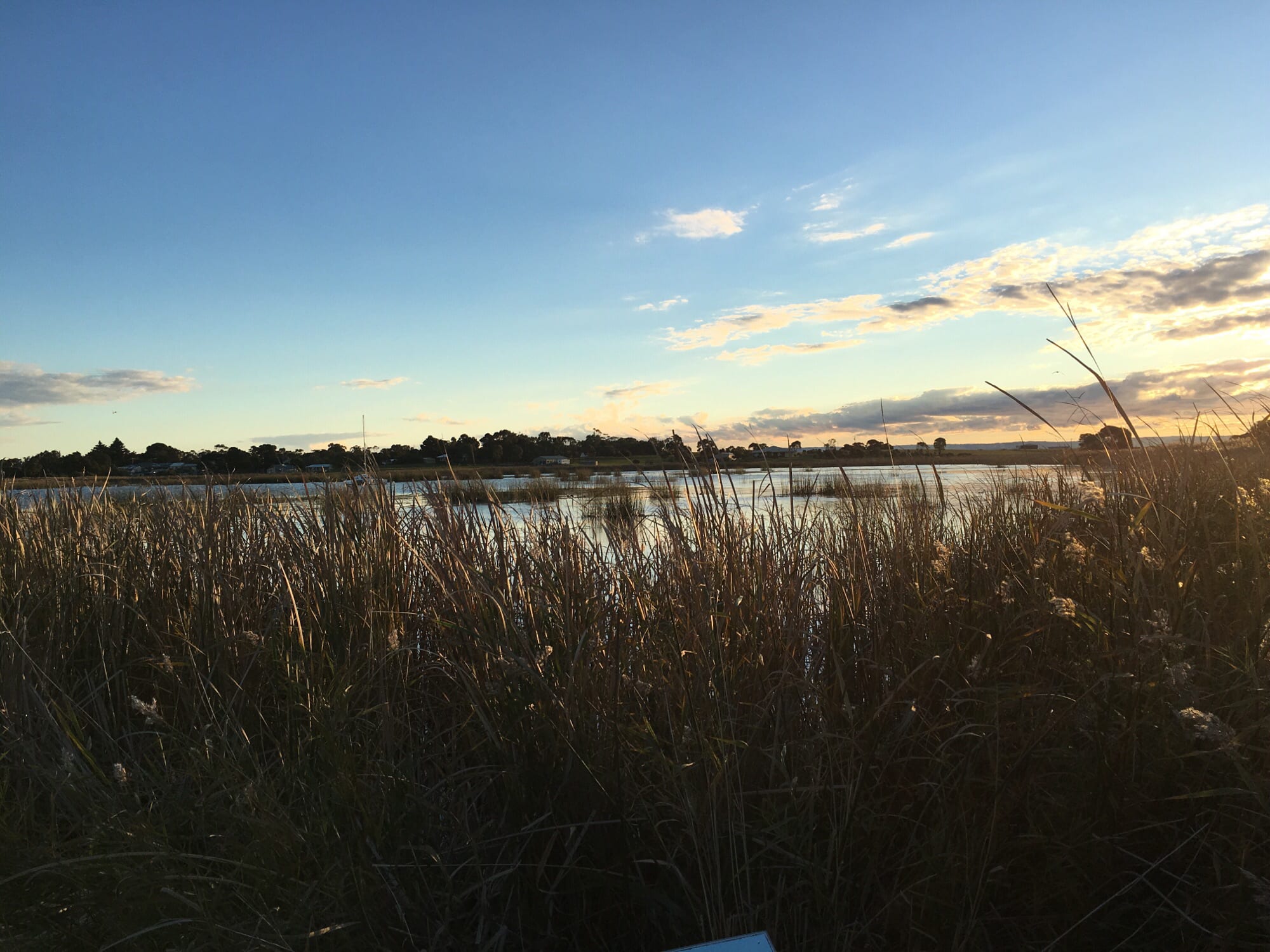Clayton Bay Anycamp
