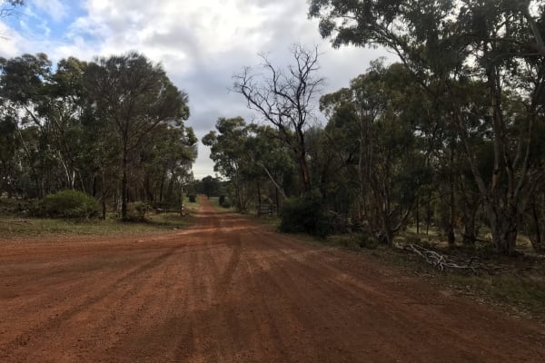 Photo by Christine B.