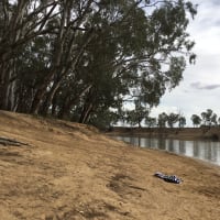 Photo by Karen Ann Richardson