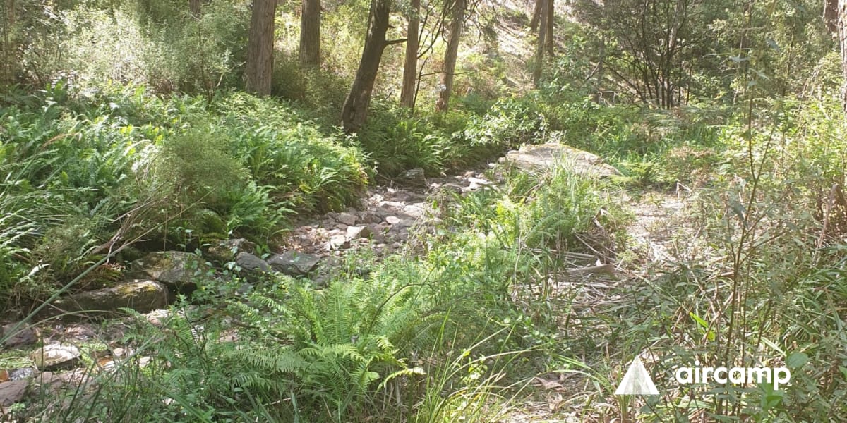 Nolans Creek Campground