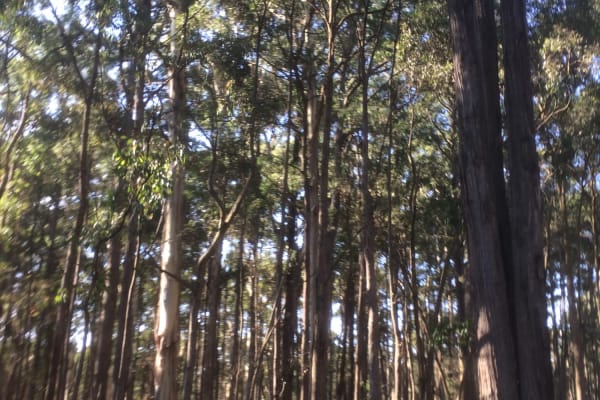 Photo by Els en Tanja