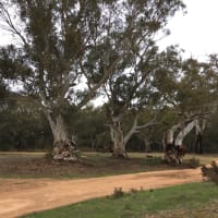 Photo by Francesca S.