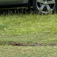 Photo by Louise Le Roux