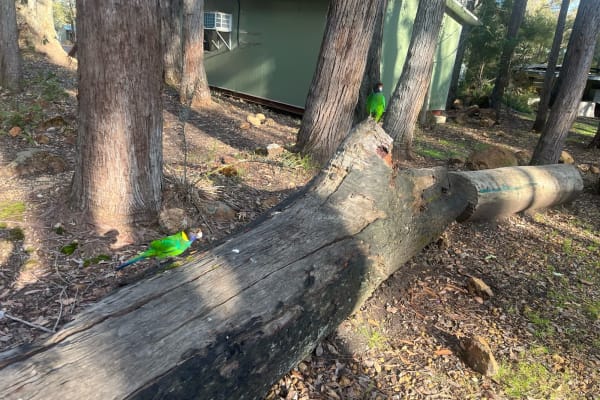 Photo by Katherine S.