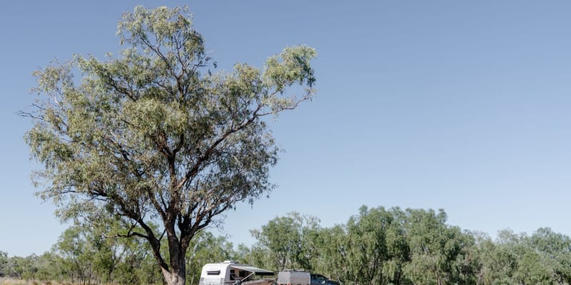 Photo by Longreach Explore Centre