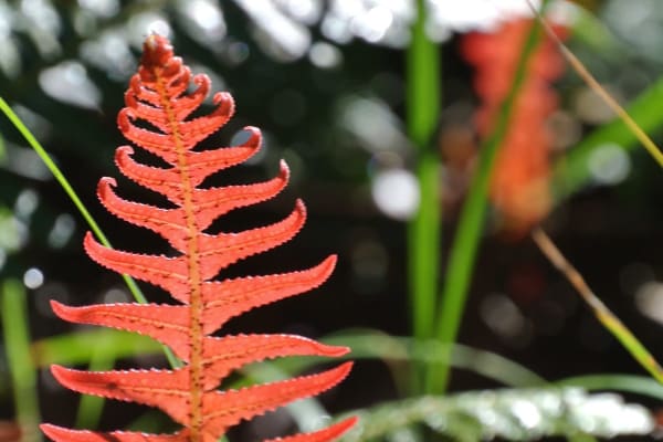 Photo by Brucethegoose