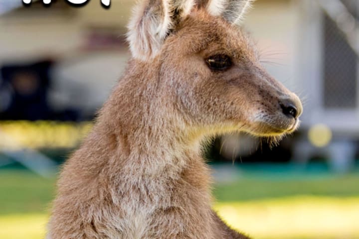 Photo by Marketing T.