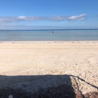 Photo by Kristine H.