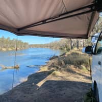 Photo by Michelle F.