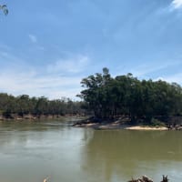 Photo by Kerri-lee M.