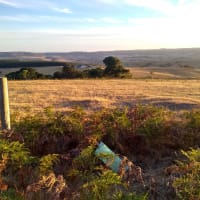 Photo by Lien Van Duppen