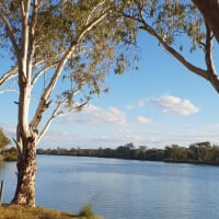 Photo by Michelle D.