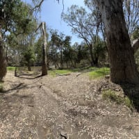 Photo by DaveDuff    CampInNature