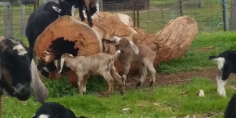 Photo by Jenni-Dawn B.