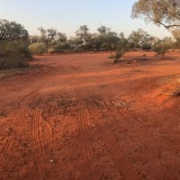 Photo by Billie-jade S.