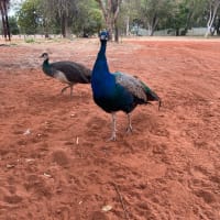 Photo by Katharine F.