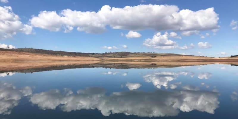 Photo by Eddy & Kathy Tiemens