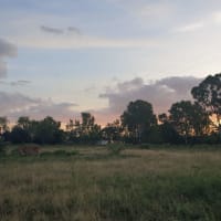 Photo by Michelle P.