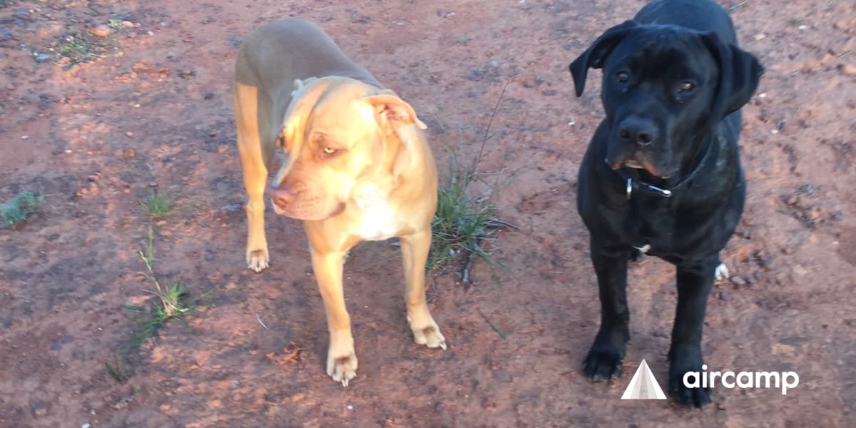 Brewarrina Rest Stop