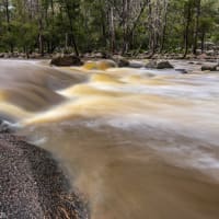 Photo by Dylan Bob Dwyer