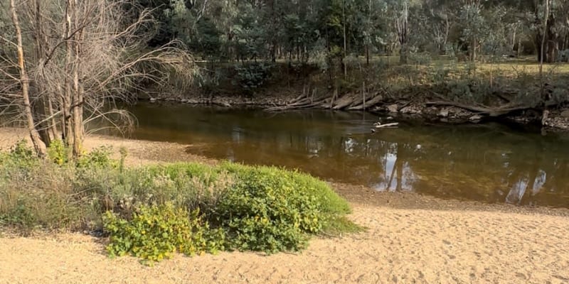 Photo by Isabella R.