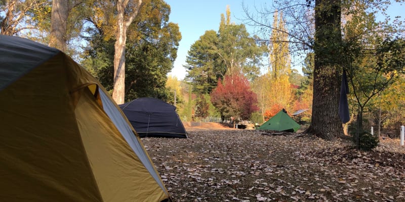 Photo of Buchan Caves Camping