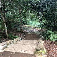 Photo by Margaret R.