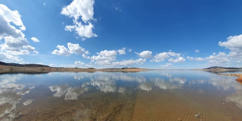 Photo by Eddy & Kathy Tiemens