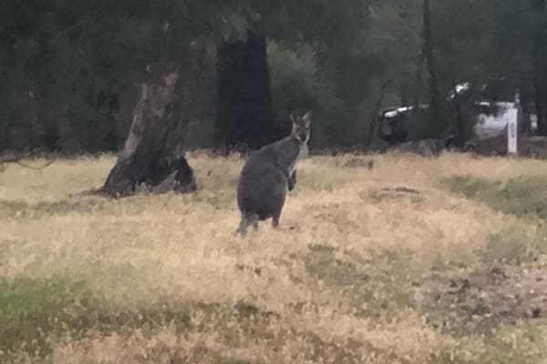 Photo by Gene Catalan Ashling