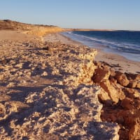 Photo by cornelius d.