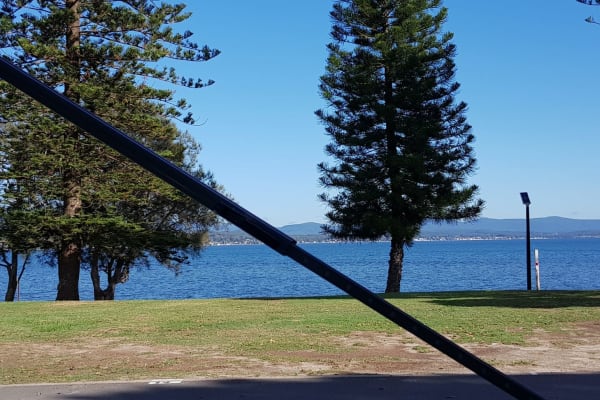 Photo by Shirley AndLuke Sutton