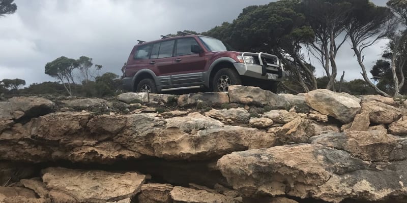 Photo by Michelle C.