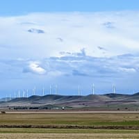 Photo by Kristine P.