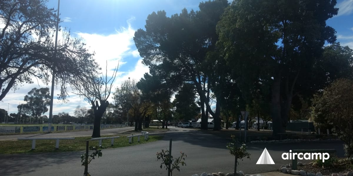 BIG4 Barossa Tourist Park - Main photo
