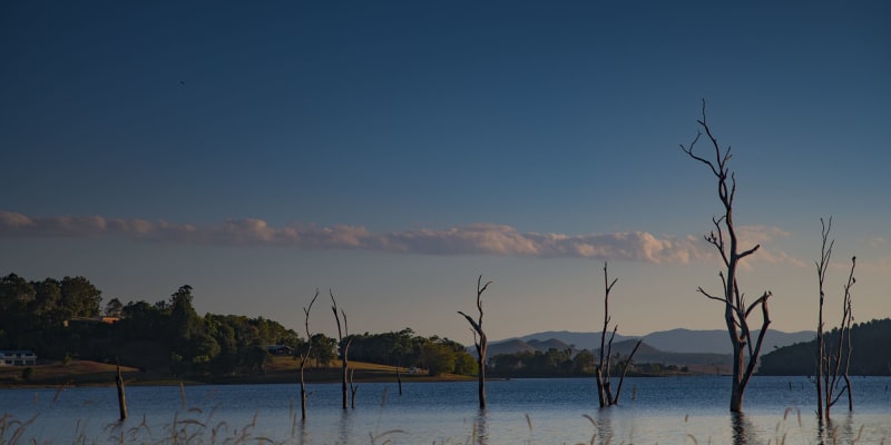 Photo by Genazzano R.