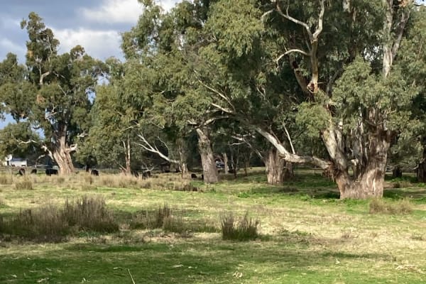 Photo by Lee-Anne F.