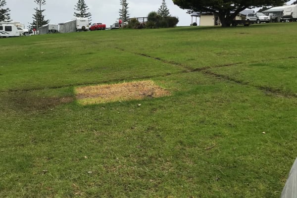 Photo by Spiritual M.