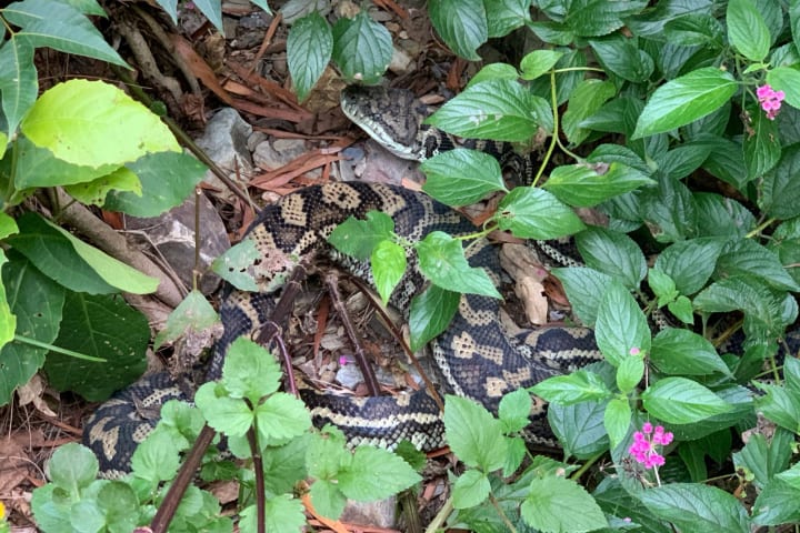 Photo by Off The Trax