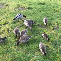 Photo by Genevieve R.