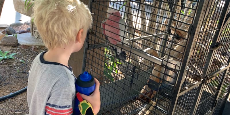 Photo by Corporate to Caravan