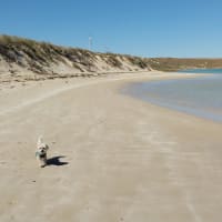 Photo by Colin van den Hoff